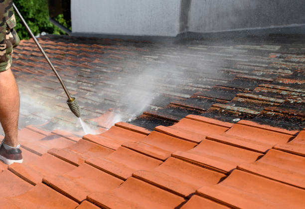 Best Roof Pressure Washing  in Morris, OK